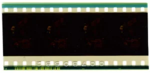 La pellicule de 4 images.