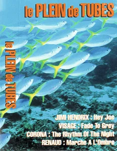 1994,
"Le plein de tubes",
Renaud : "Marche à l'ombre",
5957.