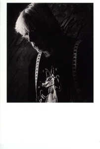 Les cartes verticales