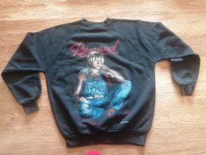 1986, 
Tour 86, 
"La Chetron sauvage",
Zénith, le recto.