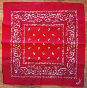 Tour 2023-2024, dans mes cordes.