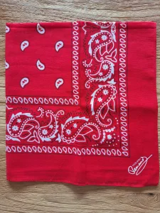 Tour 2024, dans mes cordes.