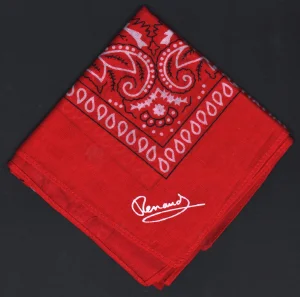 2024,
Dans mes cordes.